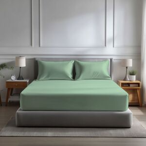Snug City Microfibre Soft Touch Fitted Sheet 40cm Extra Deep Skirt Plain Dyed Bed Linen in Duck Egg Blue Size: Double Duck Egg Blue Double Snug City Microfibre Soft Touch Fitted Sheet 40cm Extra Deep Skirt Plain Dyed Bed Linen in Duck Egg Blue Size: Double Duck Egg Blue Double