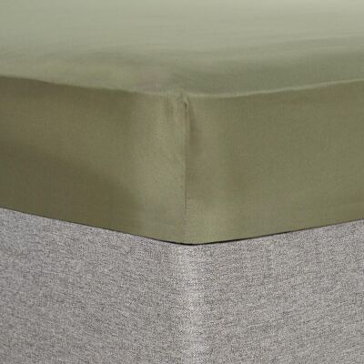 OHS Plain Dyed Non-Iron Fitted Bed Sheet in Bottle Green Size: Double Fitted Bottle Green Double Fitted OHS Plain Dyed Non-Iron Fitted Bed Sheet in Bottle Green Size: Double Fitted Bottle Green Double Fitted
