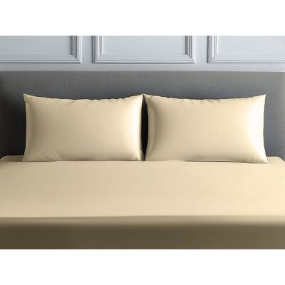 Snug City Luxury 200TC Housewife Pillowcase Pair Soft Feel in Cream Size: Standard Pillow Case Cream Standard Pillow Case Snug City Luxury 200TC Housewife Pillowcase Pair Soft Feel in Cream Size: Standard Pillow Case Cream Standard Pillow Case