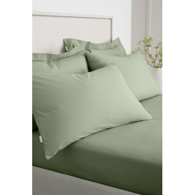 Bianca 200 Thread Count Cotton Pillowcase Pair - Pillowcase Bianca 200 Thread Count Cotton Pillowcase Pair - Pillowcase