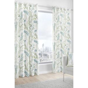 Fusion 'Fernworthy' 100% Cotton Botanical Print Pair of Eyelet Curtains in Green Size: 117 cm width x 137 cm drop Green 117 cm width x 137 cm drop Fusion 'Fernworthy' 100% Cotton Botanical Print Pair of Eyelet Curtains in Green Size: 117 cm width x 137 cm drop Green 117 cm width x 137 cm drop