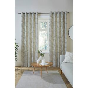 Fusion 'Matteo' 100% Cotton Light Filtering Pair of Eyelet Curtains in Natural Size: 168 cm width x 137 cm drop Natural 168 cm width x 137 cm drop Fusion 'Matteo' 100% Cotton Light Filtering Pair of Eyelet Curtains in Natural Size: 168 cm width x 137 cm drop Natural 168 cm width x 137 cm drop
