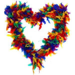 I Love Fancy Dress Rainbow Pride Feather Boa - 65g in Red Size: 24 Pack Red 24 Pack I Love Fancy Dress Rainbow Pride Feather Boa - 65g in Red Size: 24 Pack Red 24 Pack
