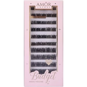 House of Amor Women's Budget Box "Mega Volume" with Mini Bond in Black Black House of Amor Women's Budget Box "Mega Volume" with Mini Bond in Black Black