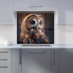 Warren Reed - Designer Tawny Owl Face Splashart Dark Background Kitchen Splashback in Brown Size: 600mm x 650mm Brown 600mm x 650mm Warren Reed - Designer Tawny Owl Face Splashart Dark Background Kitchen Splashback in Brown Size: 600mm x 650mm Brown 600mm x 650mm