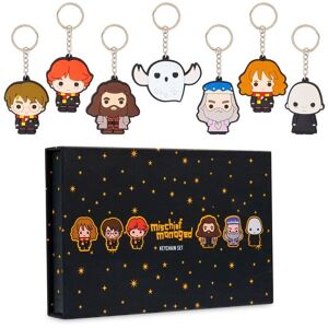 Harry Potter 3D Keyrings Set Multicolor One Size Harry Potter 3D Keyrings Set Multicolor One Size