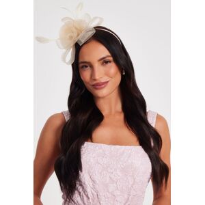 Quiz Women's Off White Flower Headband Fascinator in Off-White Off-White One Size Quiz Women's Off White Flower Headband Fascinator in Off-White Off-White One Size