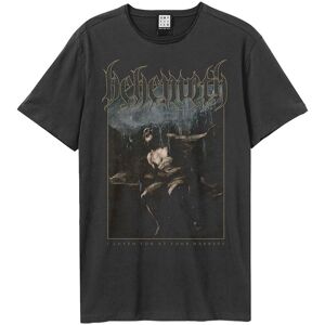 Amplified Men's I Loved You At Your Darkest Behemoth T-Shirt in Charcoal Size: 3XL Charcoal 3XL Amplified Men's I Loved You At Your Darkest Behemoth T-Shirt in Charcoal Size: 3XL Charcoal 3XL