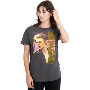 David Bowie Men's Sticker & Shirt, Smallokin T-Shirt, Charcoal, Bowie130-Stk17 in Charcoal Size: XL Charcoal XL David Bowie Men's Sticker & Shirt, Smallokin T-Shirt, Charcoal, Bowie130-Stk17 in Charcoal Size: XL Charcoal XL