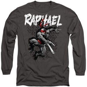 Teenage Mutant Ninja Turtles Men's Tmnt Tmnt Raphael Long Sleeve T Shirt-Charcoal in Charcoal Size: 2XL Charcoal 2XL Teenage Mutant Ninja Turtles Men's Tmnt Tmnt Raphael Long Sleeve T Shirt-Charcoal in Charcoal Size: 2XL Charcoal 2XL
