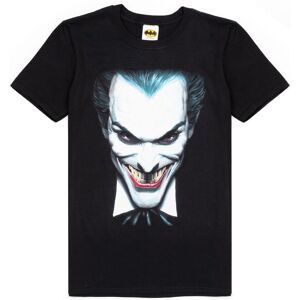 DC Comics Men's Short Sleeved T-Shirt (Adult Black) in Black Size: Large Black L DC Comics Men's Short Sleeved T-Shirt (Adult Black) in Black Size: Large Black L