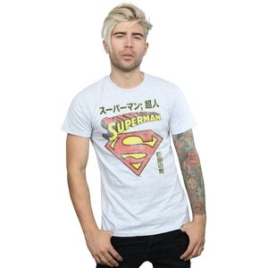 DC Comics Men's Superman Shield T-Shirt in Grey Size: Large Grey L DC Comics Men's Superman Shield T-Shirt in Grey Size: Large Grey L