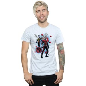 Marvel Men's Ant-Man & The Wasp Particle Pose T-Shirt in Grey Size: 3XL Grey 3XL Marvel Men's Ant-Man & The Wasp Particle Pose T-Shirt in Grey Size: 3XL Grey 3XL