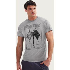 Stranger Things Men's Demobat Anatomical Drawing T-Shirt in Mid Grey Size: Medium Mid Grey M Stranger Things Men's Demobat Anatomical Drawing T-Shirt in Mid Grey Size: Medium Mid Grey M