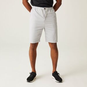 Regatta Men's Aldan Casual Chino Shorts in Silver Size: 30R Silver 30R Regatta Men's Aldan Casual Chino Shorts in Silver Size: 30R Silver 30R