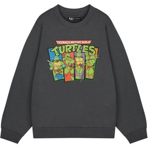 Teenage Mutant Ninja Turtles Men's Adult Sweatshirt (Mens Charcoal) in Grey Size: XL Grey XL Teenage Mutant Ninja Turtles Men's Adult Sweatshirt (Mens Charcoal) in Grey Size: XL Grey XL