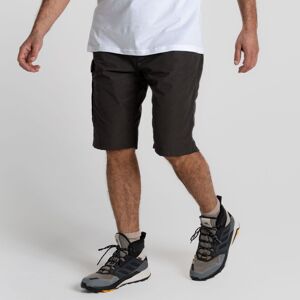 Craghoppers Men's Kiwi Long Short in Grey Size: 34R Grey 34R Craghoppers Men's Kiwi Long Short in Grey Size: 34R Grey 34R