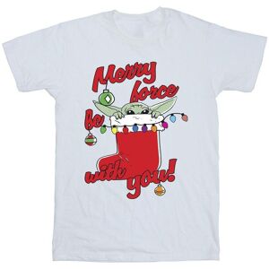 Star Wars Men's Merry Force Be With You Cotton T-Shirt in White Size: 4XL White 4XL Star Wars Men's Merry Force Be With You Cotton T-Shirt in White Size: 4XL White 4XL