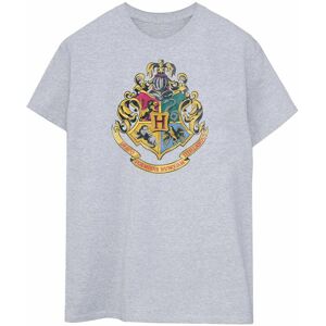 Harry Potter Men's Hogwarts T-Shirt in Grey Size: Medium Grey M Harry Potter Men's Hogwarts T-Shirt in Grey Size: Medium Grey M