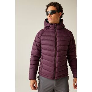Dare 2b Men's Torrek Padded Walking Hooded Jacket in Purple Size: Small Purple S Dare 2b Men's Torrek Padded Walking Hooded Jacket in Purple Size: Small Purple S