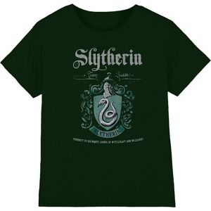 Harry Potter Men's Slytherin T-Shirt in Green Size: Medium Green M Harry Potter Men's Slytherin T-Shirt in Green Size: Medium Green M