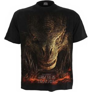 Spiral Direct Men's Dragon Throne House Of The Dragon T-Shirt in Black Size: XL Black XL Spiral Direct Men's Dragon Throne House Of The Dragon T-Shirt in Black Size: XL Black XL