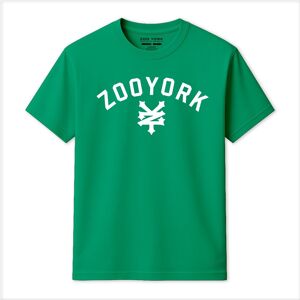 Zoo York Men's Standard T-Shirt in Green Size: 3XL Green 3XL Zoo York Men's Standard T-Shirt in Green Size: 3XL Green 3XL