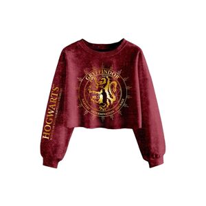 Harry Potter Gryffindor Constellation Acid Wash Crop Sweatshirt