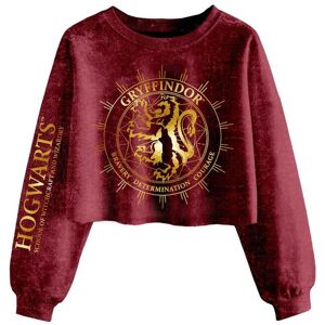 Harry Potter Gryffindor Constellation Acid Wash Crop Sweatshirt