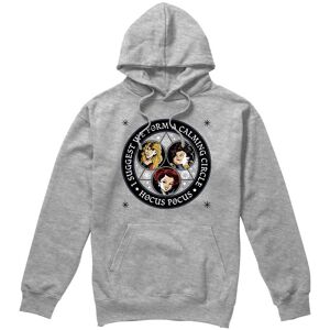 Disney Hocus Pocus Form A Calming Circle With The Sanderson Sisters Hoodie Light Grey Size: Medium Light Grey M Disney Hocus Pocus Form A Calming Circle With The Sanderson Sisters Hoodie Light Grey Size: Medium Light Grey M