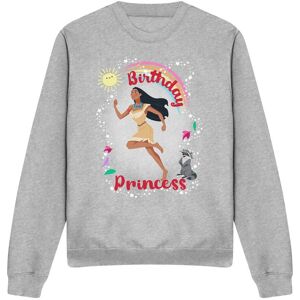 Disney Pocahontas Birthday Princess With Meeko Sweatshirt Light Grey Size: Large Light Grey L Disney Pocahontas Birthday Princess With Meeko Sweatshirt Light Grey Size: Large Light Grey L