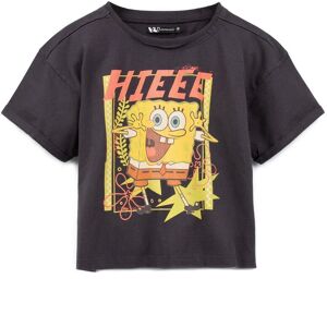 SpongeBob SquarePants Women's Adult Cropped Short Sleeved T-Shirt (Womens Grey) in Grey Size: 2XL Grey 2XL SpongeBob SquarePants Women's Adult Cropped Short Sleeved T-Shirt (Womens Grey) in Grey Size: 2XL Grey 2XL