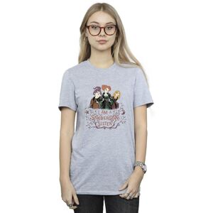 Disney Women's Hocus Pocus Sanderson Sister Cotton Boyfriend T-Shirt in Grey Size: 3XL Grey 3XL Disney Women's Hocus Pocus Sanderson Sister Cotton Boyfriend T-Shirt in Grey Size: 3XL Grey 3XL