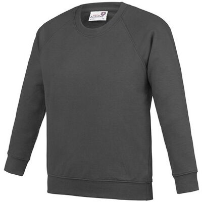 AWDis Academy Raglan Sweatshirt in Charcoal Size: 2XL Charcoal 2XL AWDis Academy Raglan Sweatshirt in Charcoal Size: 2XL Charcoal 2XL