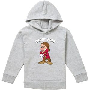 Disney Snow White & The Seven Dwarfs, Current Mood, Grumpy Youth Kids Pull-Over Hoodie, Athletic Heather in Grey Size: 5-6 Years Grey 5-6 Years Disney Snow White & The Seven Dwarfs, Current Mood, Grumpy Youth Kids Pull-Over Hoodie, Athletic Heather in Grey Size: 5-6 Years Grey 5-6 Years