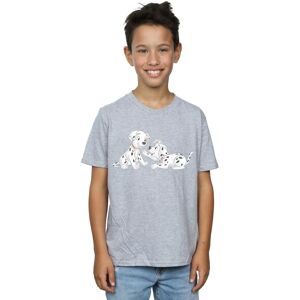 Disney Boy's 101 Dalmatians Watercolour Friends T-Shirt in Grey Size: 9 Years Grey 9 Years Disney Boy's 101 Dalmatians Watercolour Friends T-Shirt in Grey Size: 9 Years Grey 9 Years