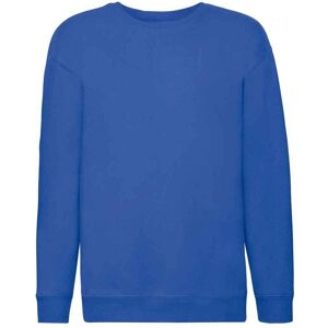 Fruit of the Loom Premium Drop Shoulder Sweatshirt in Blue Size: 12-13 Years Blue 12-13 Years Fruit of the Loom Premium Drop Shoulder Sweatshirt in Blue Size: 12-13 Years Blue 12-13 Years