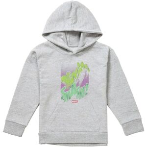 Marvel Hulk Gamma Smash Youth Kids Pull-Over Hoodie, Athletic Heather in Grey Size: 9-11 Years Grey 9-11 Years Marvel Hulk Gamma Smash Youth Kids Pull-Over Hoodie, Athletic Heather in Grey Size: 9-11 Years Grey 9-11 Years
