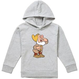 Disney Snow White & The Seven Dwarfs, Sneezy Youth Kids Pull-Over Hoodie, Athletic Heather in Grey Size: 9-11 Years Grey 9-11 Years Disney Snow White & The Seven Dwarfs, Sneezy Youth Kids Pull-Over Hoodie, Athletic Heather in Grey Size: 9-11 Years Grey 9-11 Years