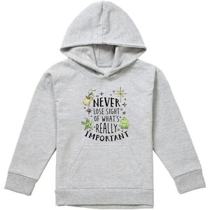 Disney The Princess & The Frog Never Lose Sight Youth Kids Pull-Over Hoodie, Athletic Heather in Grey Size: 7-8 Years Grey 7-8 Years Disney The Princess & The Frog Never Lose Sight Youth Kids Pull-Over Hoodie, Athletic Heather in Grey Size: 7-8 Years Grey 7-8 Years