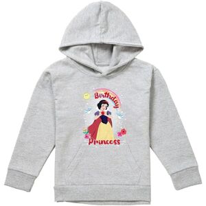 Disney Snow White Birthday Princess & Friends Youth Kids Pull-Over Hoodie, Athletic Heather in Grey Size: 5-6 Years Grey 5-6 Years Disney Snow White Birthday Princess & Friends Youth Kids Pull-Over Hoodie, Athletic Heather in Grey Size: 5-6 Years Grey 5-6 Years