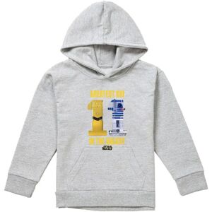 Disney Star Wars Greatest Kid C3Po R2D2 Youth Kids Pull-Over Hoodie, Athletic Heather in Grey Size: 12-13 Years Grey 12-13 Years Disney Star Wars Greatest Kid C3Po R2D2 Youth Kids Pull-Over Hoodie, Athletic Heather in Grey Size: 12-13 Years Grey 12-13 Years