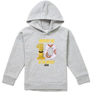 Disney Star Wars Greatest Kid C3Po Bb8 Youth Kids Pull-Over Hoodie, Athletic Heather in Grey Size: 12-13 Years Grey 12-13 Years Disney Star Wars Greatest Kid C3Po Bb8 Youth Kids Pull-Over Hoodie, Athletic Heather in Grey Size: 12-13 Years Grey 12-13 Years