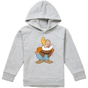 Disney Snow White & The Seven Dwarfs, Happy Youth Kids Pull-Over Hoodie, Athletic Heather in Grey Size: 12-13 Years Grey 12-13 Years Disney Snow White & The Seven Dwarfs, Happy Youth Kids Pull-Over Hoodie, Athletic Heather in Grey Size: 12-13 Years Grey 12-13 Years