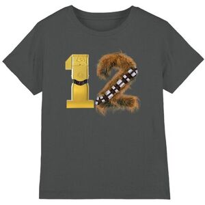 Star Wars C3Po Chewbacca 12 Kids T-Shirt Charcoal Size: 5-6 Years Charcoal 5-6 Years Star Wars C3Po Chewbacca 12 Kids T-Shirt Charcoal Size: 5-6 Years Charcoal 5-6 Years