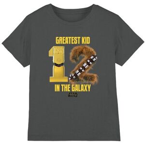 Star Wars Greatest Kid C3Po Chewbacca Kids T-Shirt Charcoal Size: 12-13 Years Charcoal 12-13 Years Star Wars Greatest Kid C3Po Chewbacca Kids T-Shirt Charcoal Size: 12-13 Years Charcoal 12-13 Years