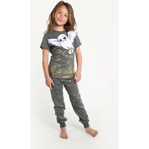 Harry Potter Girl's Hediwg Pyjama in Grey Size: 11-12 Years Grey 11-12 Years Harry Potter Girl's Hediwg Pyjama in Grey Size: 11-12 Years Grey 11-12 Years