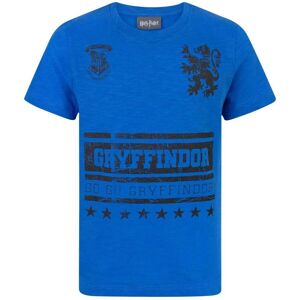 Harry Potter Boy's Kids Short Sleeved T-Shirt (Boys Blue) in Blue Size: 5-6 Years Blue 5-6 Years Harry Potter Boy's Kids Short Sleeved T-Shirt (Boys Blue) in Blue Size: 5-6 Years Blue 5-6 Years