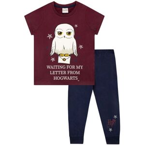 Harry Potter Girl's Hedwig Pyjamas Letter From Hogwarts in Red Size: 10-11 Years Red 10-11 Years Harry Potter Girl's Hedwig Pyjamas Letter From Hogwarts in Red Size: 10-11 Years Red 10-11 Years