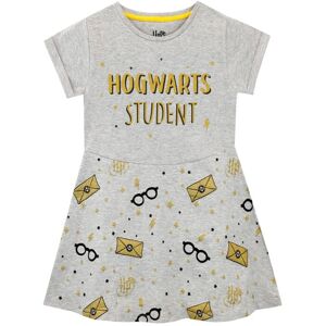 Harry Potter Girl's Hogwarts Student Dress in Grey Size: 10-11 Years Grey 10-11 Years Harry Potter Girl's Hogwarts Student Dress in Grey Size: 10-11 Years Grey 10-11 Years